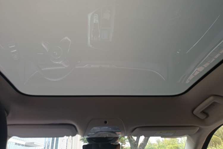 Used VOYAH FREE 2021 Four-Wheel Drive Standard Range-Extended Exclusive Luxury Package
