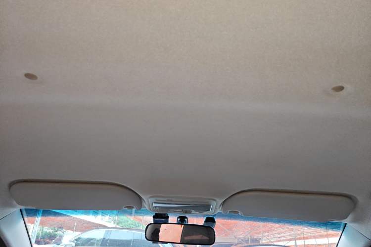 Used SOL E10X 2022 Flower Fairy Design Four-Leaf Clover Headliner