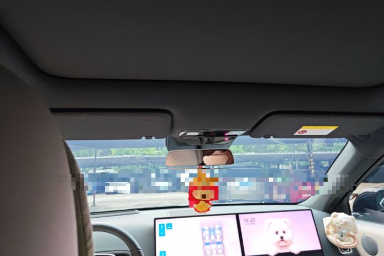 Used Li Auto L6 2024 Max Headliner