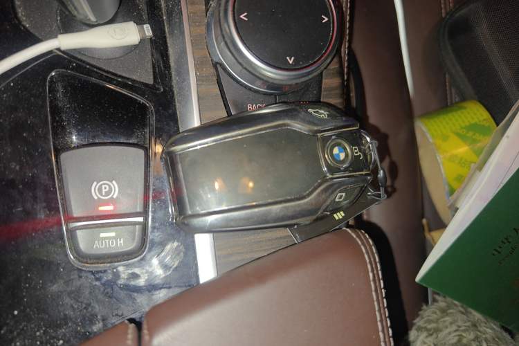 Used BMW 5 Series New Energy 2020 Mileage Upgrade Version 530Le Luxury Package
