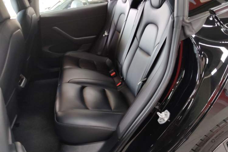 Used Tesla Model 3 2022 Rear-Wheel-Drive Version