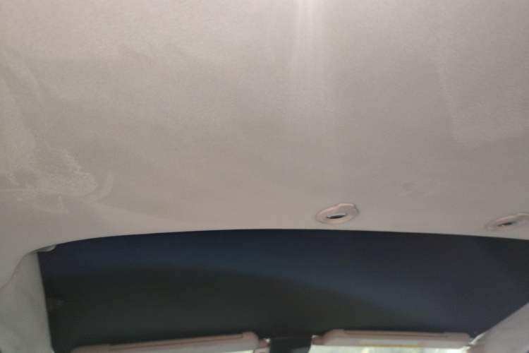 Used XPeng G3 2020 520 Luxury Edition Headliner