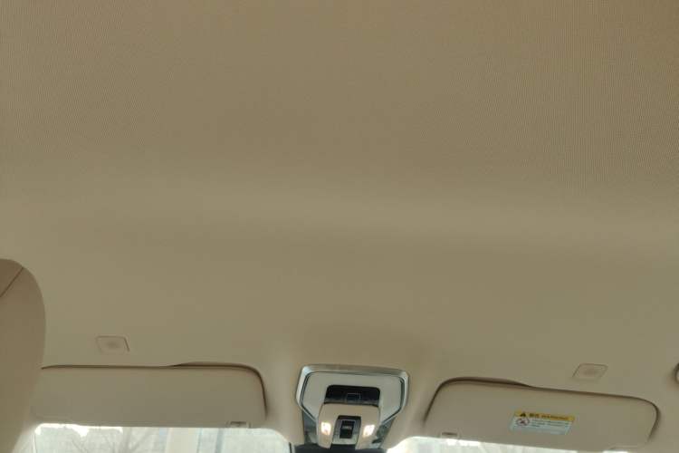 Used Hongqi HQ9 2024 2.0T Business Edition
