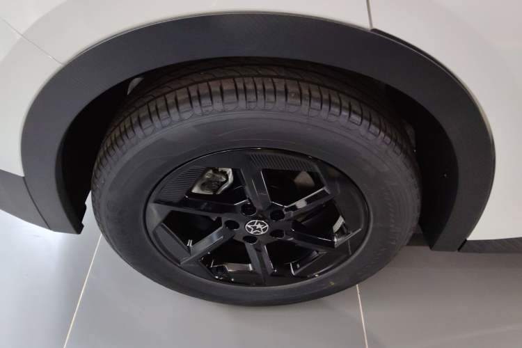 Used Venucia VX6 2024 450 Travel Edition
