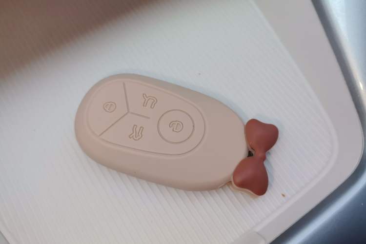 Used Geely Galaxy Geome 2025 310km Dream Edition