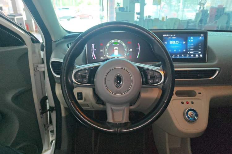 Used ORA White Cat 2020 360km Standard Version Steering Wheel