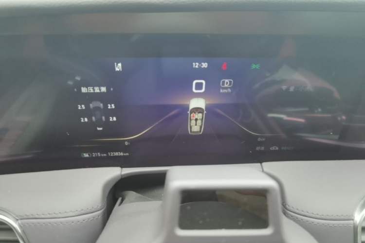 Used Hongqi E-HS9 2021 510 km Range Flagway Edition Six Seats Instrument Cluster