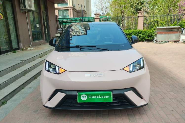 Used BYD Seagull 2023 Flying Edition
