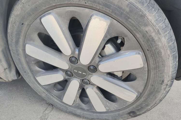 Used ORA Black Cat 2019 351 km Goddess Edition
