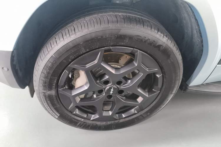 Used Formula Leopard Tai 7 2025 Model 190 km Four-Wheel Drive Ultra Edition
