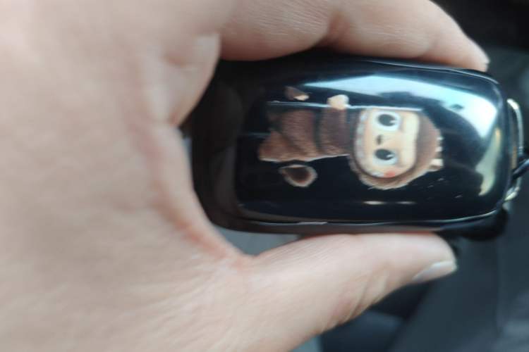 Used Geely Auto Emgrand 2023 4th Generation Champion Edition 1.5L CVT Luxury Model
