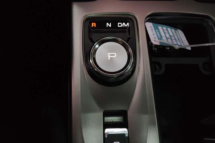 Used Haval DARGO 2024 2.0T DCT Chinese Rural Dog Edition
