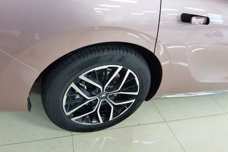 Used ORA Lightning Cat 2022 555 km Luxury Edition
