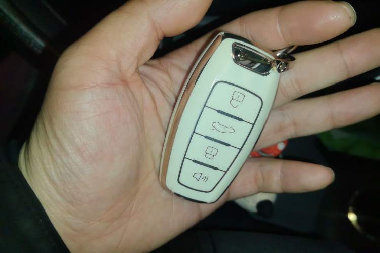 Used ORA White Cat 2020 401 km Flagship Version Vehicle Key