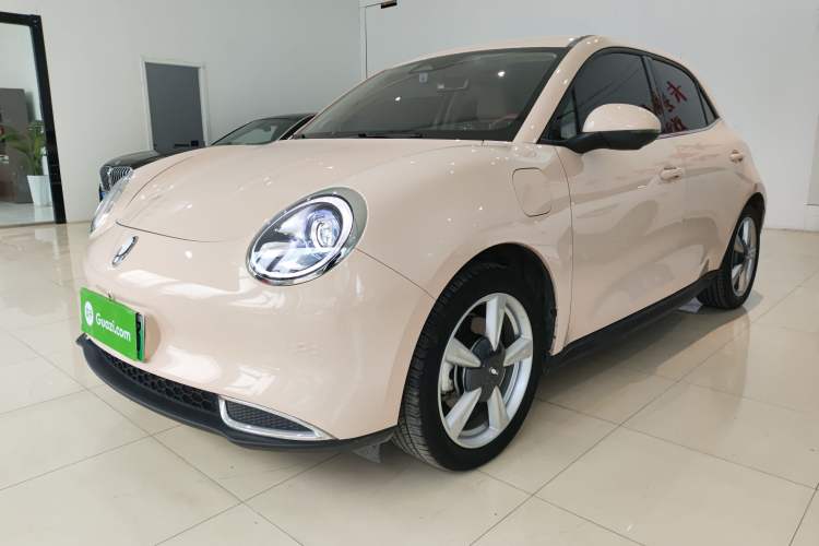 Used ORA Good Cat 2023 401 km Standard Range Comfort Version Lithium Iron Phosphate