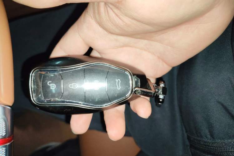 Used Hongqi H9 2024 2.0T Qixiang Private Style Edition
