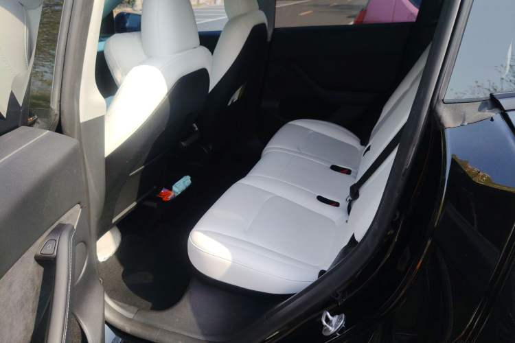 Used Tesla Model Y 2022 Revised Version Long-Range All-Wheel Drive Left Rear Seat