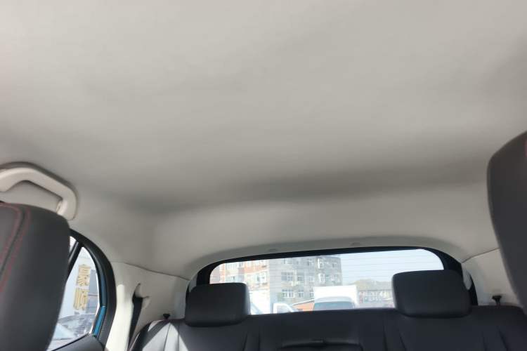 Used Dayun Yuehu 2021 32.85 kWh Two-Wheel-Drive Sprite Version
