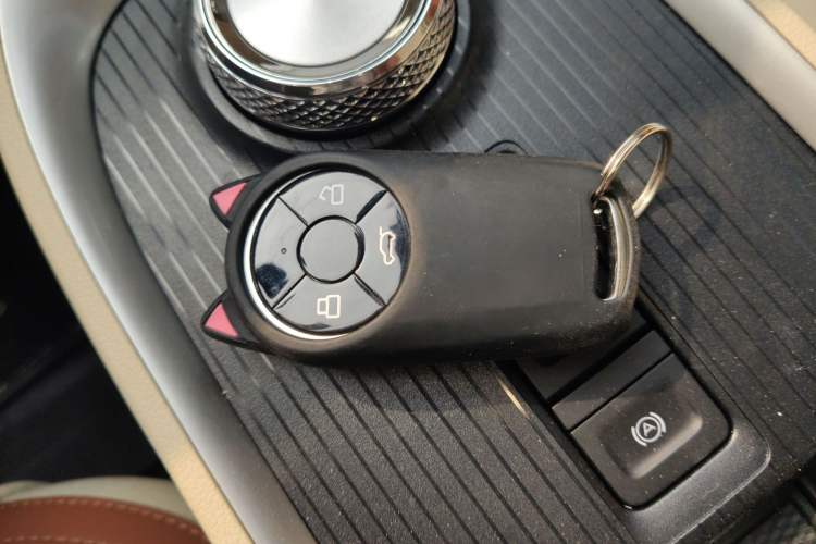 Used ORA Good Cat 2021 400km Standard Range Athena Edition Lithium-Ion Battery
