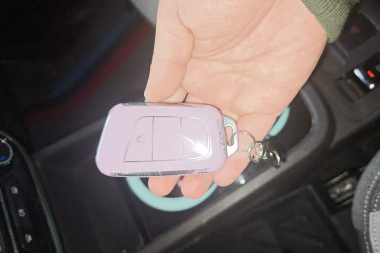 Used Chery Little Ant 2021 150 000 Yuan Ant Fan Edition New Ant Cool Version Lithium Iron Phosphate
