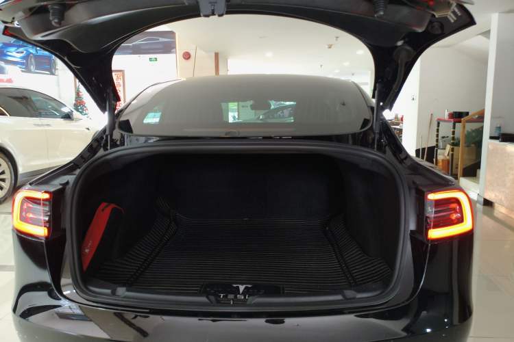 Used Tesla Model 3 2019 Standard Range Rear-Drive Upgraded Version