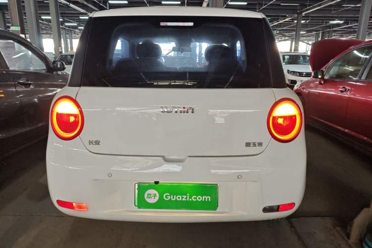 Used Qiyuan Lumin 2022 210km Sweet Edition
