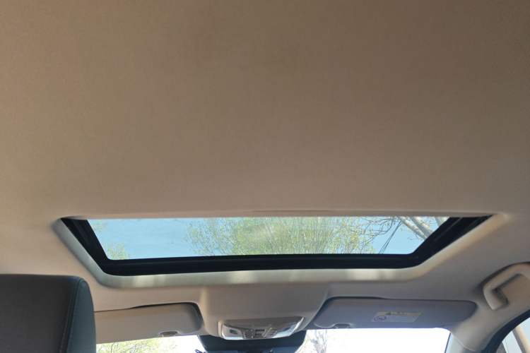 Used Great Wall Poer 2019 2.0T Automatic Gasoline Two-Wheel Drive Comfort Edition GW4C20B
