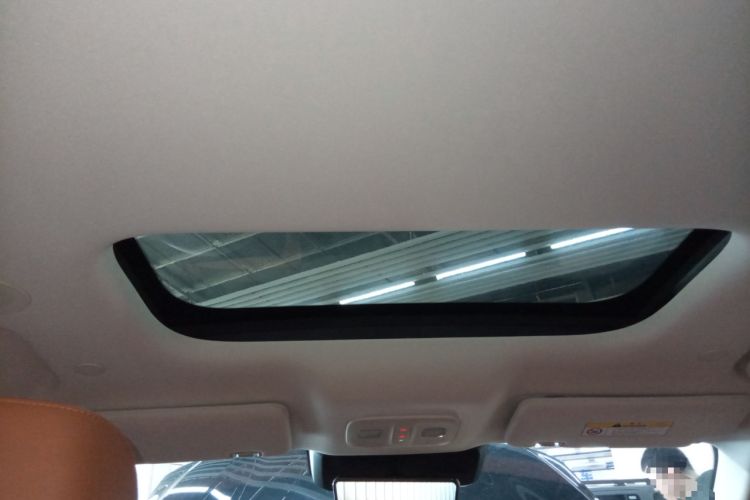 Used Wey Lanshan 2025 Four-Wheel Drive Max Headliner