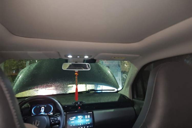 Used Leapmotor T03 2020 400 Luxury Edition Headliner