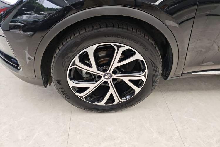 Used BYD Tang New Energy 2025 Intelligent Driving Version DM-i 115KM Flagship Edition