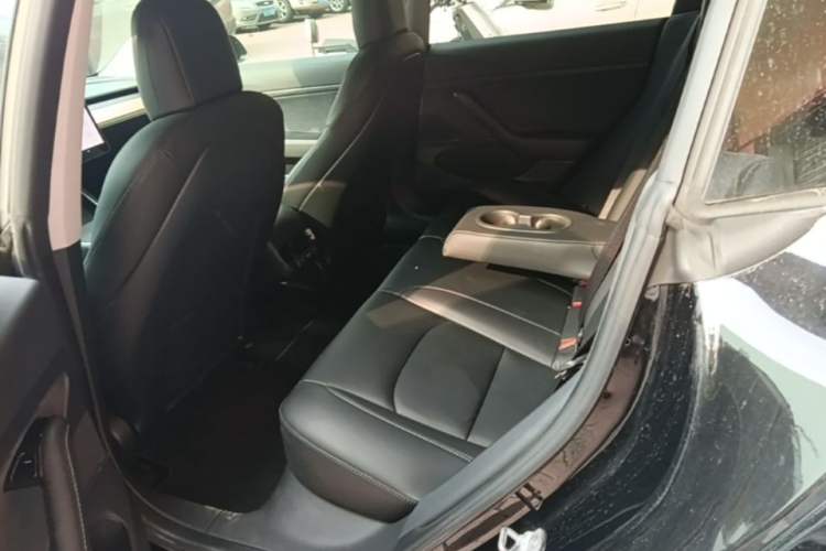 Used Tesla Model 3 2020 Revised Version Standard Range Rear-Wheel Drive – Upgraded Edition
