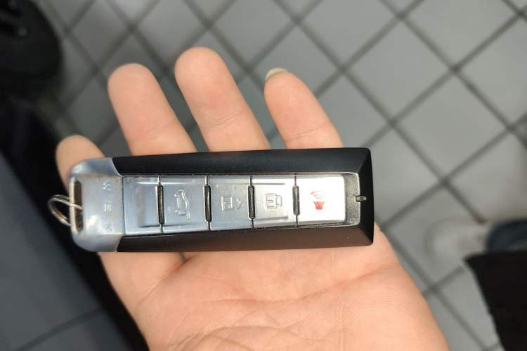 Used Tank 300 2021 Off-Road Edition 2.0T Conqueror
