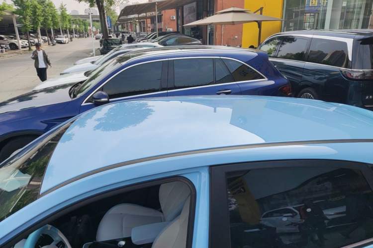 Used NETA AYA 2023 401 Lite Roof