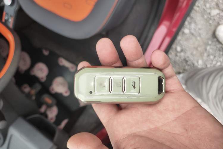 Used Baojun E100 2020 305KM Smart Enjoyment Version Vehicle Key