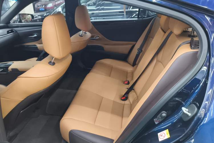 Used Lexus ES 2018 200 Excellence Edition China V Standard
