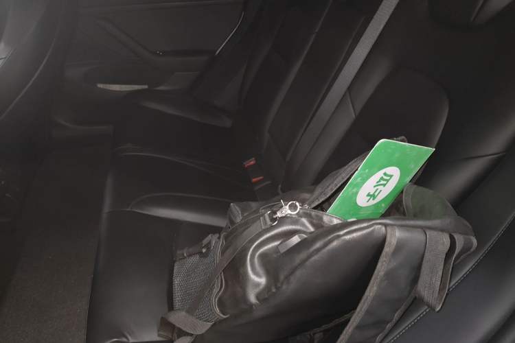 Used Tesla Model 3 2019 Standard Range Rear-Drive Upgraded Version