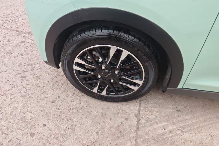 Used Chery QQ Little Ant 2022 Sweet Pink Edition Half-Sugar Version Lithium Iron Phosphate 30 kW 301 km