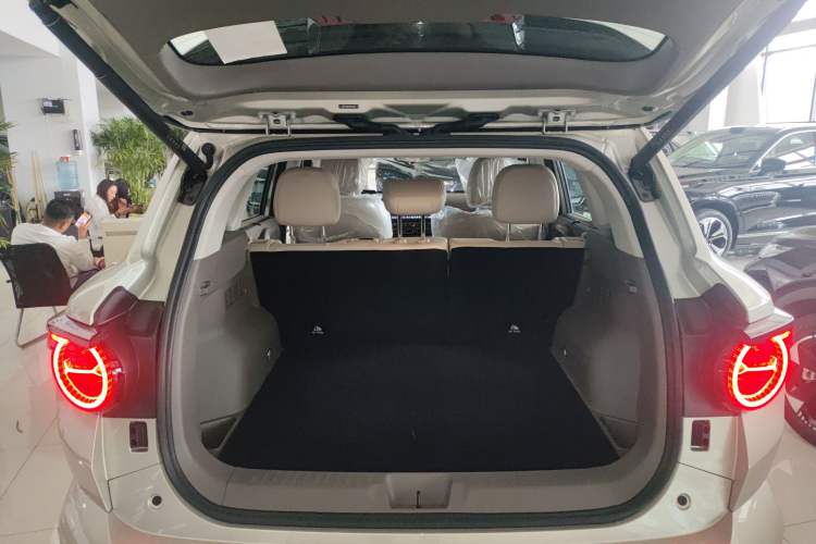 Used Haval H Dog New Energy 2026 Model Hi4 150km Trendy Electric Edition Trunk