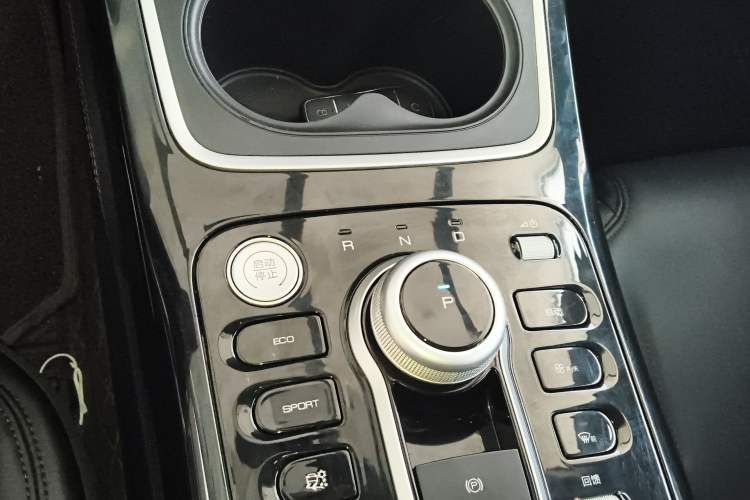 Used BYD Qin PLUS 2021 EV 400KM Leading Comfort Edition Gear Lever