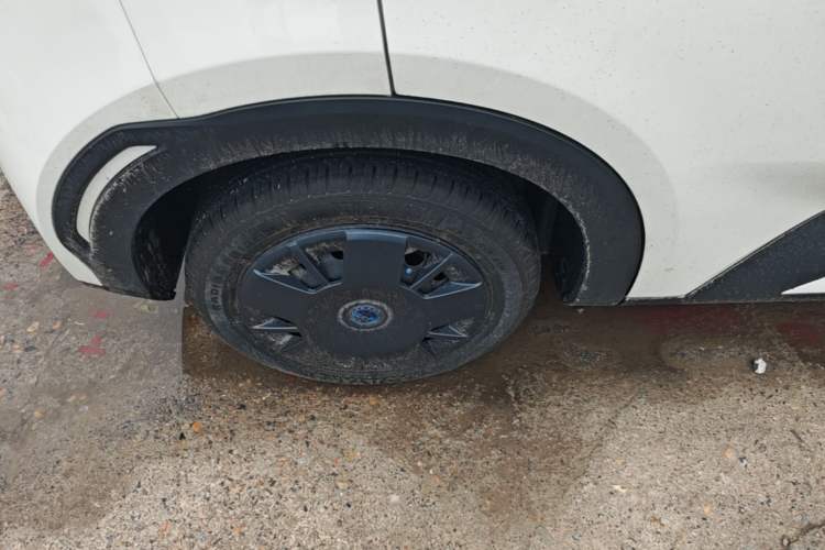 Used BYD Seagull 2025 Intelligent Driving Version 305 km Dynamic Edition
