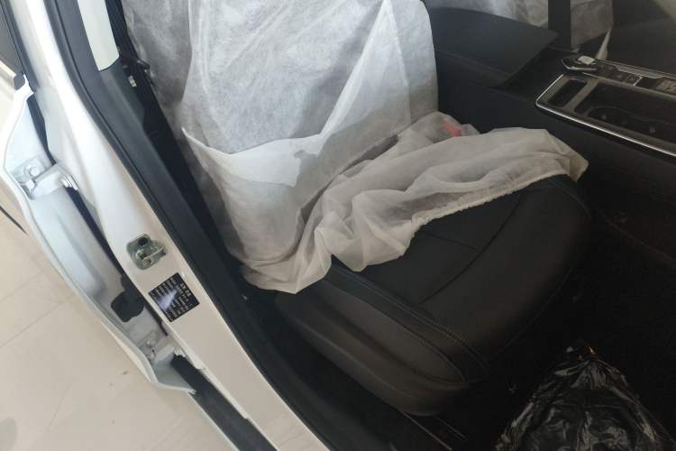 Used Roewe RX5 2025 PLUS 330TGI Automatic Trendsetting Smart Edition Right Front Seat