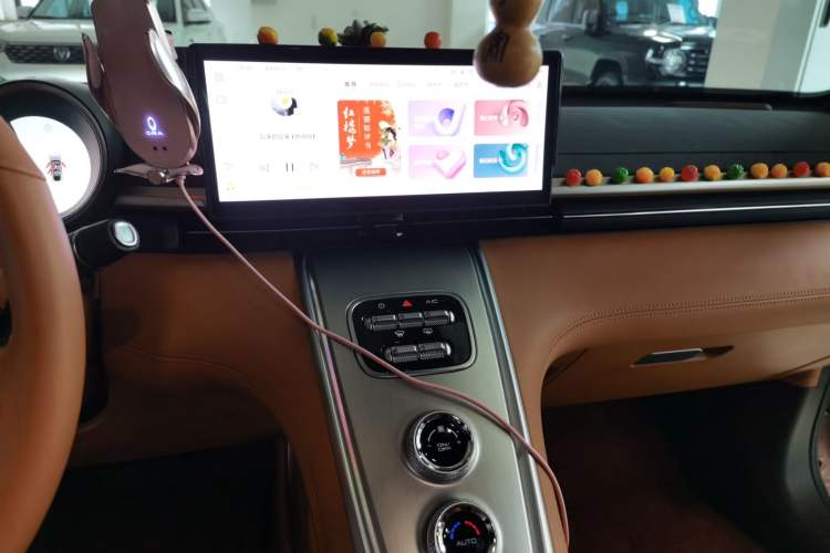 Used ORA Lightning Cat 2022 555 km Luxury Edition
