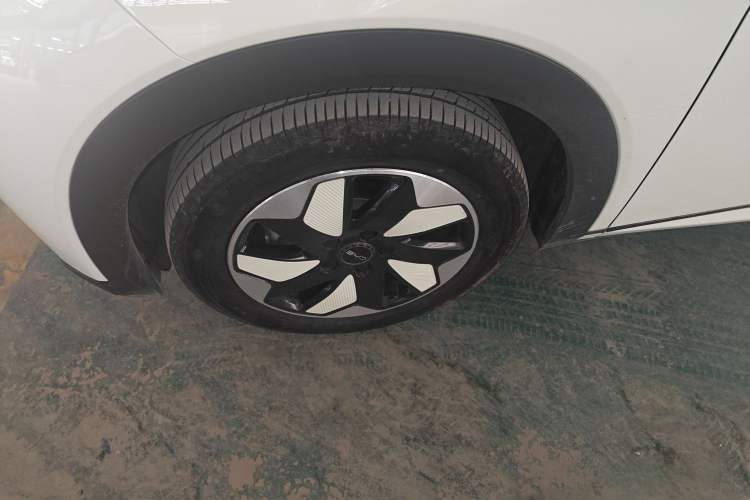 Used BYD Dolphin 2024 Honor Edition 420km Fashion Version