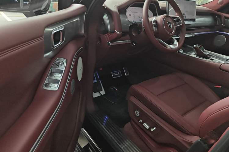 Used Tank 700 New Energy 2024 Hi4-T Extreme Edition Driver Seat