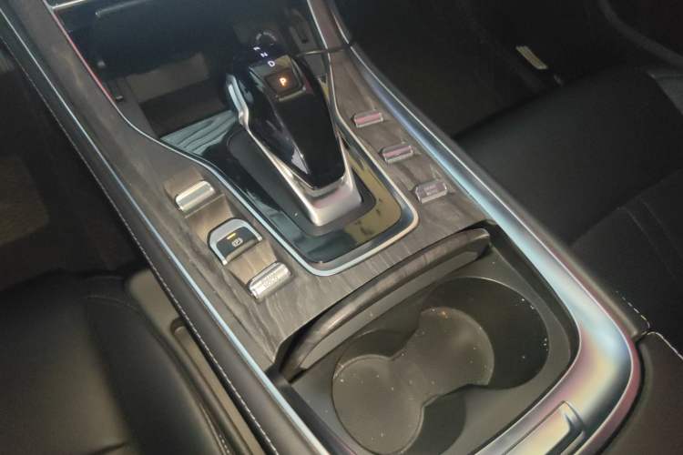 Used Landian E5 2024 Honor Edition 100KM Comfort Model 7 Seats Gear Lever