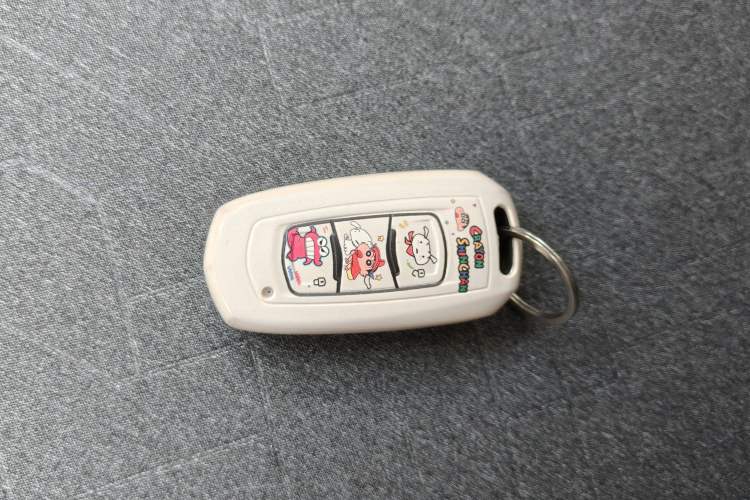 Used Geely Auto Panda 2024 Panda Mini 200km Endurance Bear
