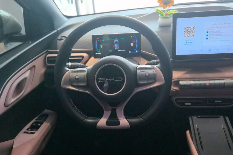 Used BYD Seagull 2023 Flying Edition
