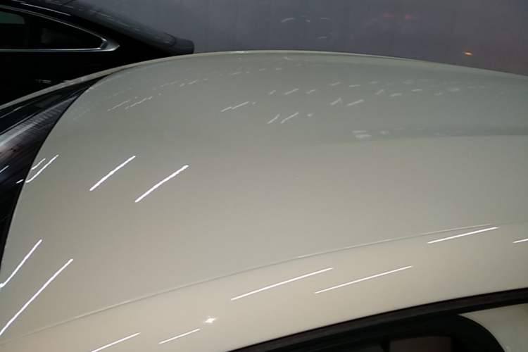 Used BYD Dolphin 2024 Honor Edition 420km Freedom Version
