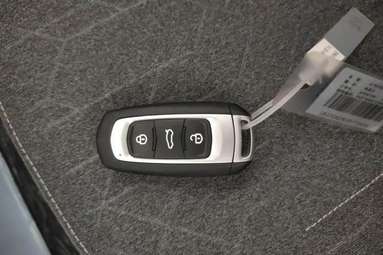 Used Geely Galaxy Panda 2024 Panda Mini 200km Endurance Bear Vehicle Key