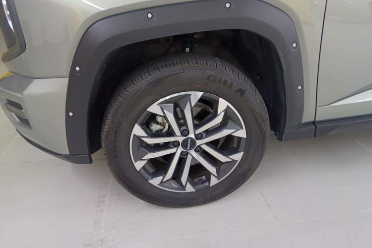 Used Haval H Dog 2023 2.0T Two-Wheel Drive Chaoye Version Plus